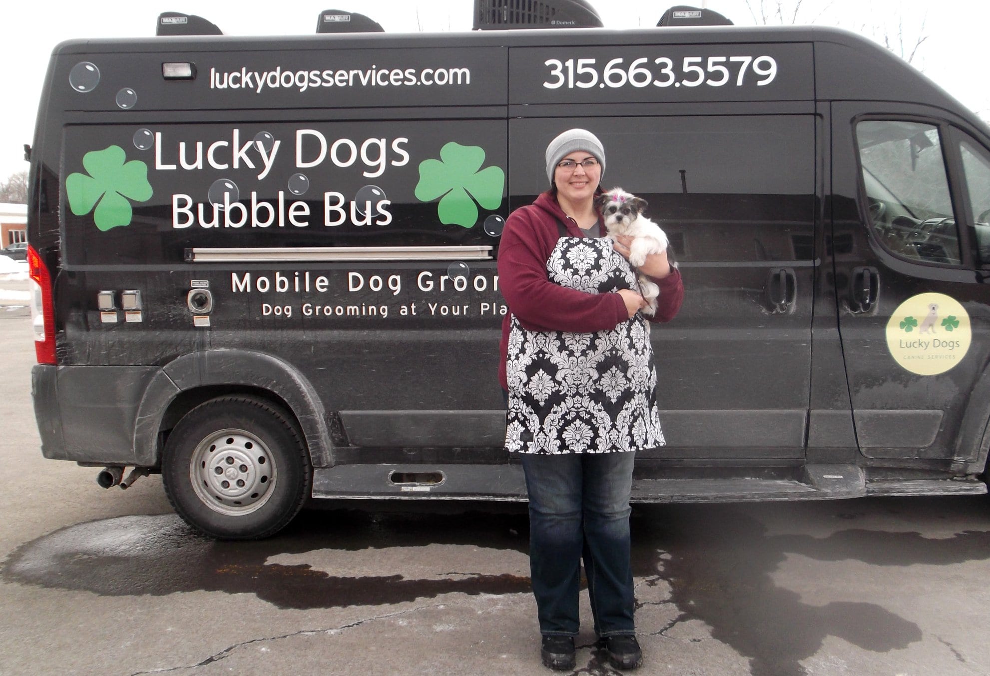 Lucky Dogs Bubble Bus mobile dog groomer in action